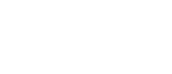 Leon Casino logo